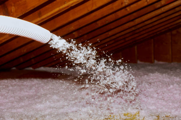 Best Insulation Installation Services in Paradise Valley, AZ