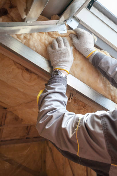 Best Residential Insulation in Paradise Valley, AZ
